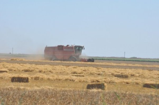 13.000 de tineri fermieri se vor instala în mediul rural